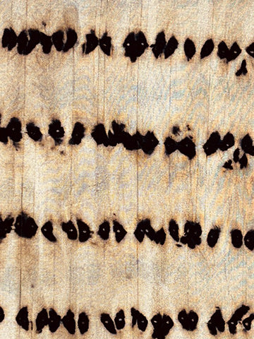 bone tie and dye stripe