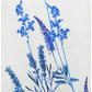 Lavender Linen