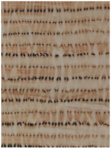 Brown Shibori
