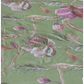 Embroidery